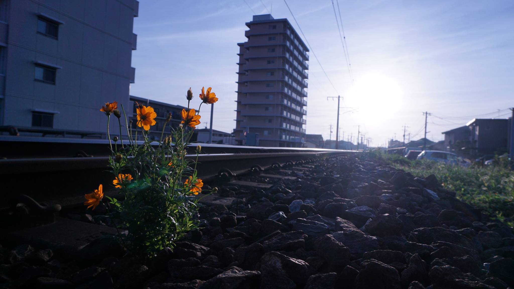 【削除されました】今週末の予定を謳うスレッド ~2016年9月3週目~ 【削除されました】今週末の予定を謳うスレッド ~2016年9月3週目~