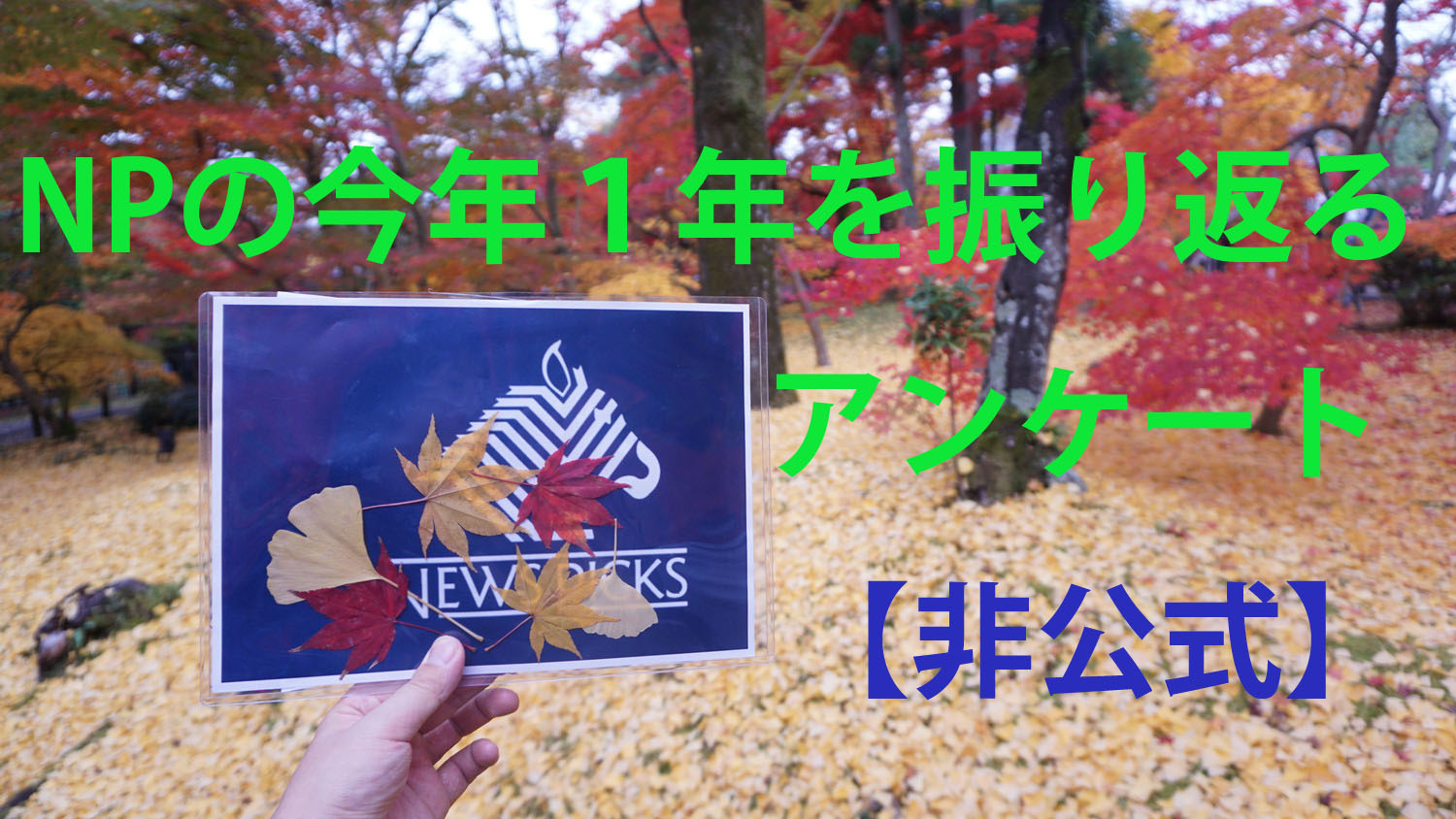 NPの今年1年を振り返るアンケート【非公式】 NPの今年1年を振り返るアンケート【非公式】