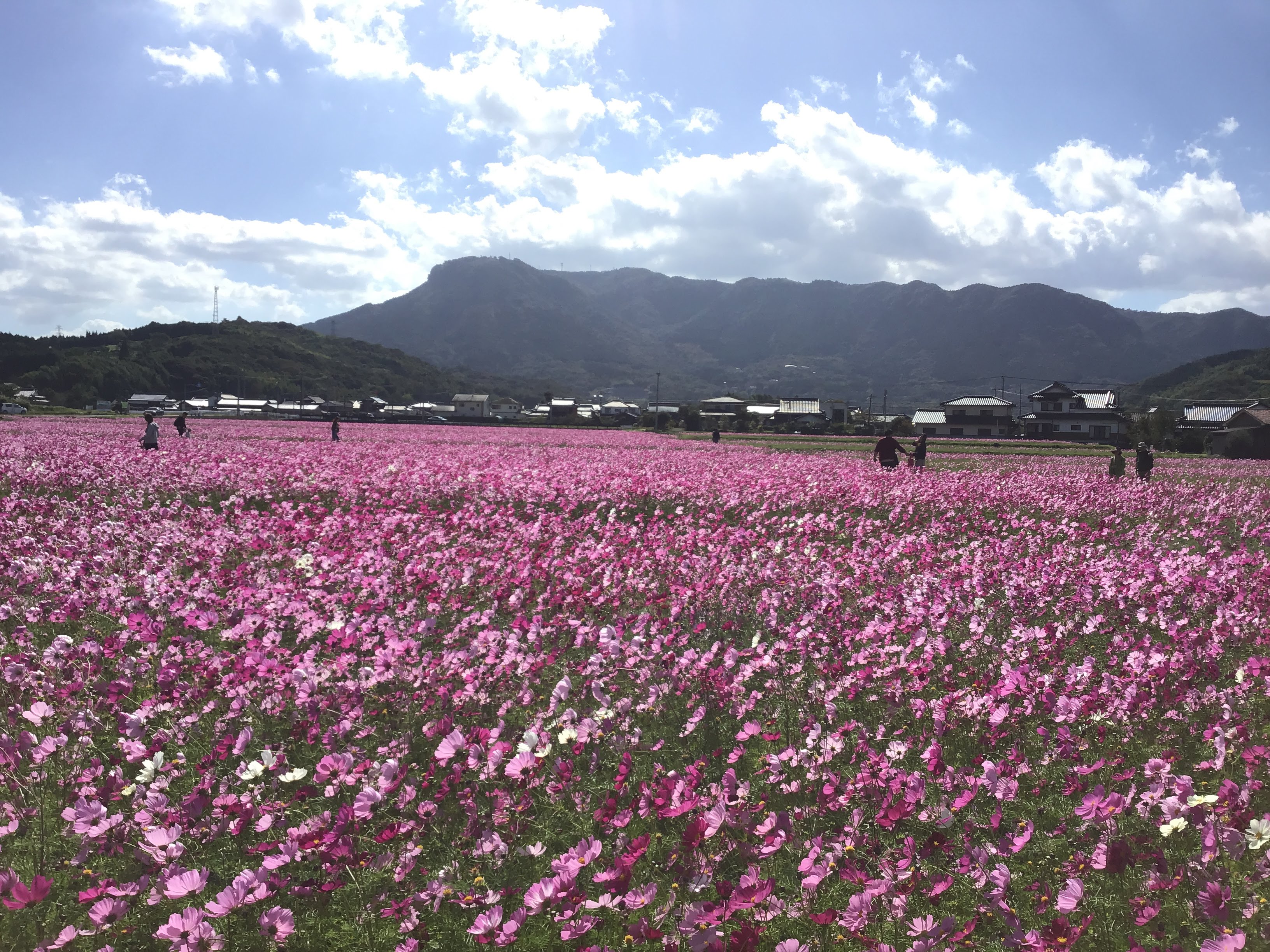 【削除されました🌈】今週末の予定を謳うスレッド ~令和元年10月1週目~ 【削除されました🌈】今週末の予定を謳うスレッド ~令和元年10月1週目~