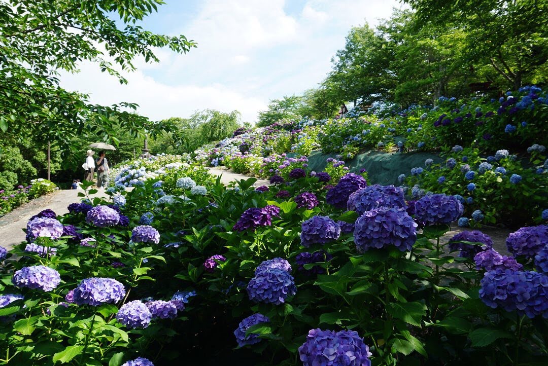 【削除されました🌈】今週末の予定を謳うスレッド ~令和元年7月1週目~ 【削除されました🌈】今週末の予定を謳うスレッド ~令和元年7月1週目~