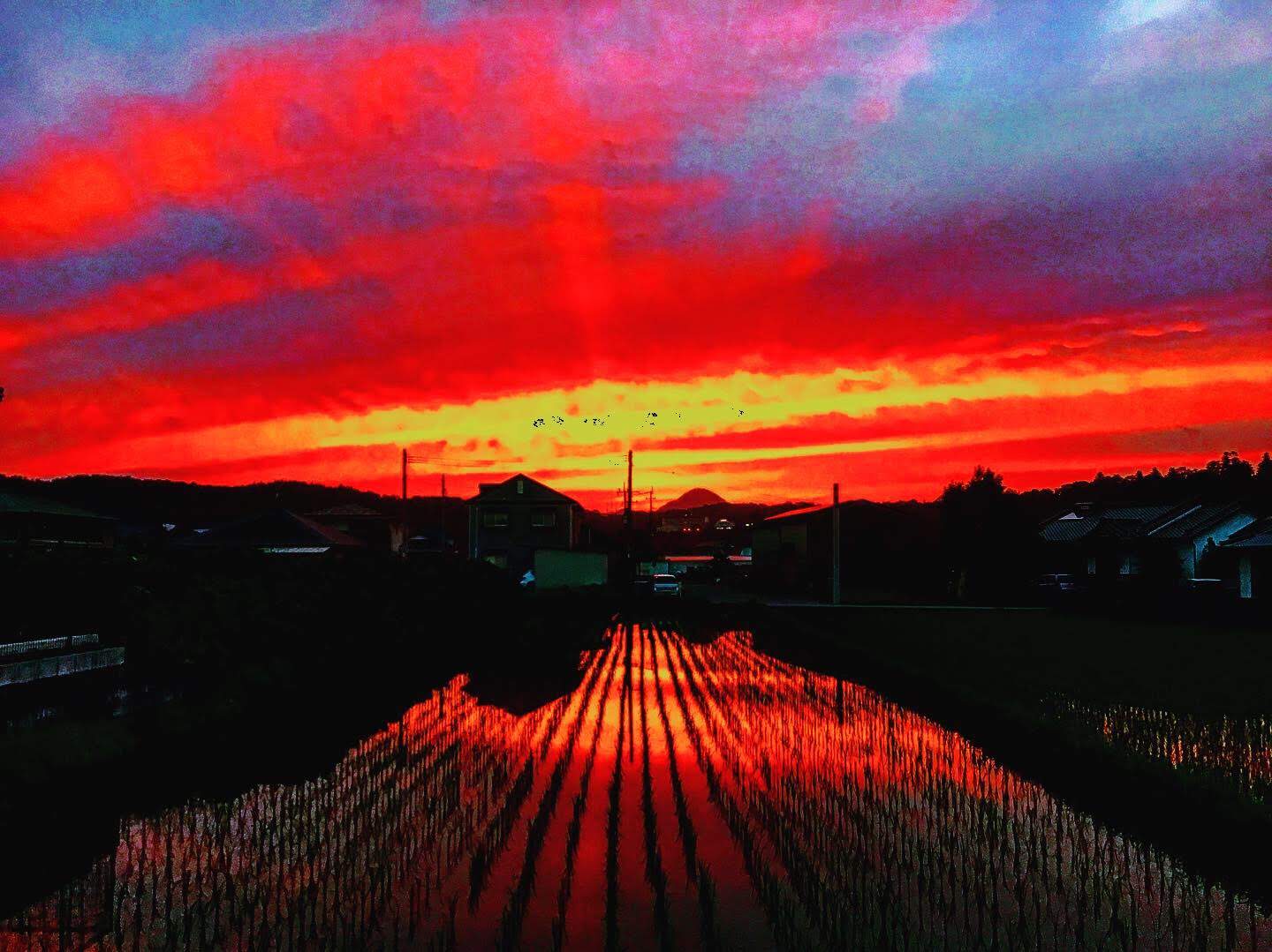 【削除されました🌈】今週末の予定を謳うスレッド ~令和元年7月2週目~ 【削除されました🌈】今週末の予定を謳うスレッド ~令和元年7月2週目~