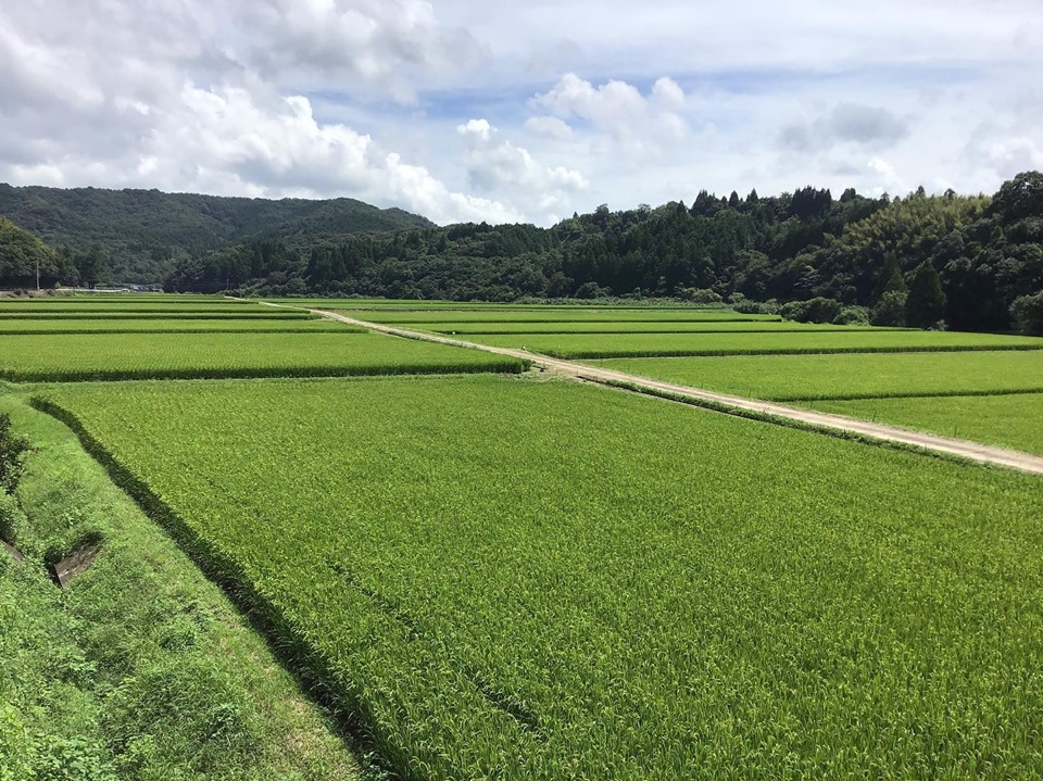 【削除されました🌈】今週末の予定を謳うスレッド ~令和元年9月1週目~ 【削除されました🌈】今週末の予定を謳うスレッド ~令和元年9月1週目~