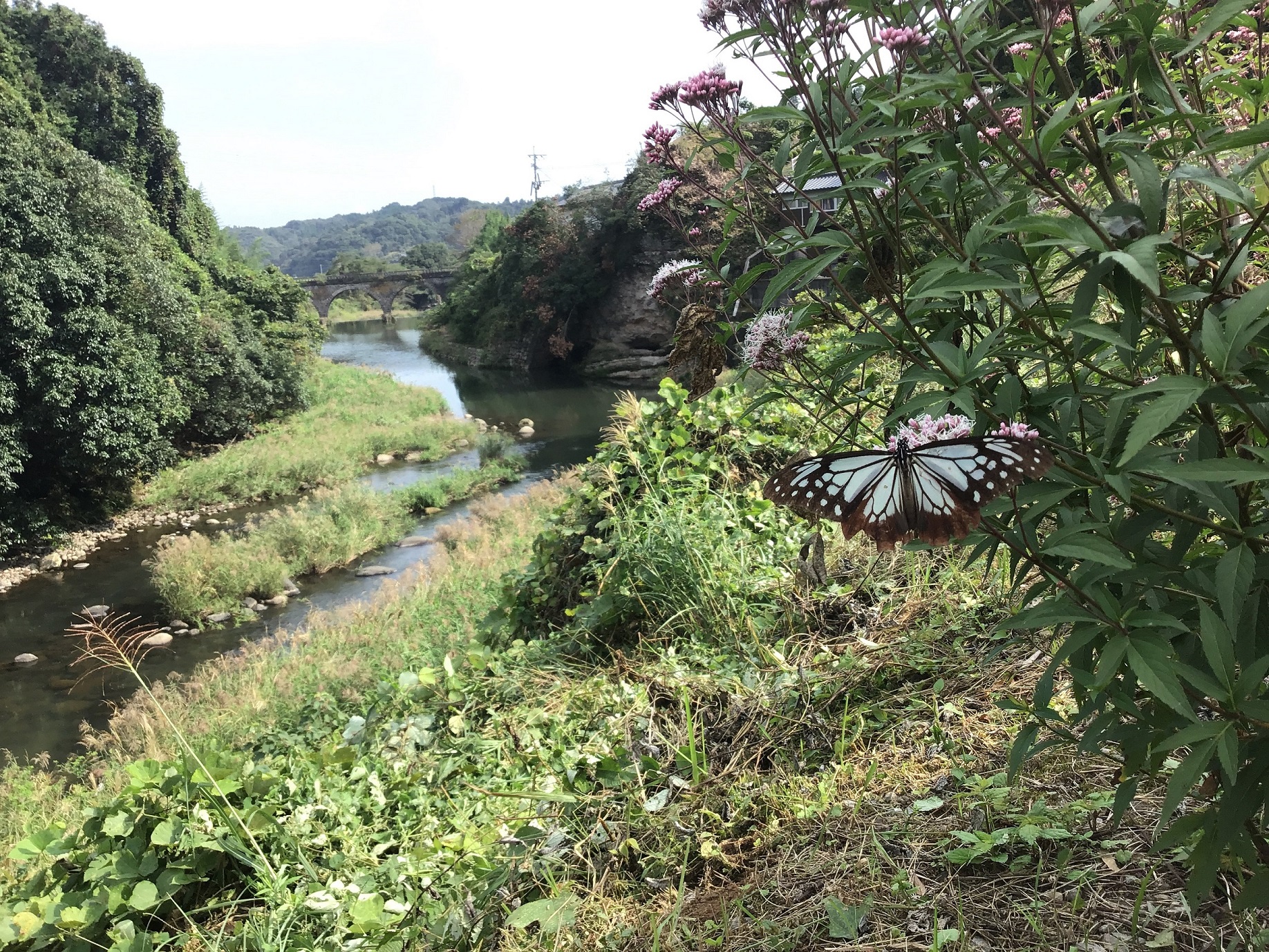【削除されました🌈】今週末の予定を謳うスレッド ~令和元年10月3週目~ 【削除されました🌈】今週末の予定を謳うスレッド ~令和元年10月3週目~