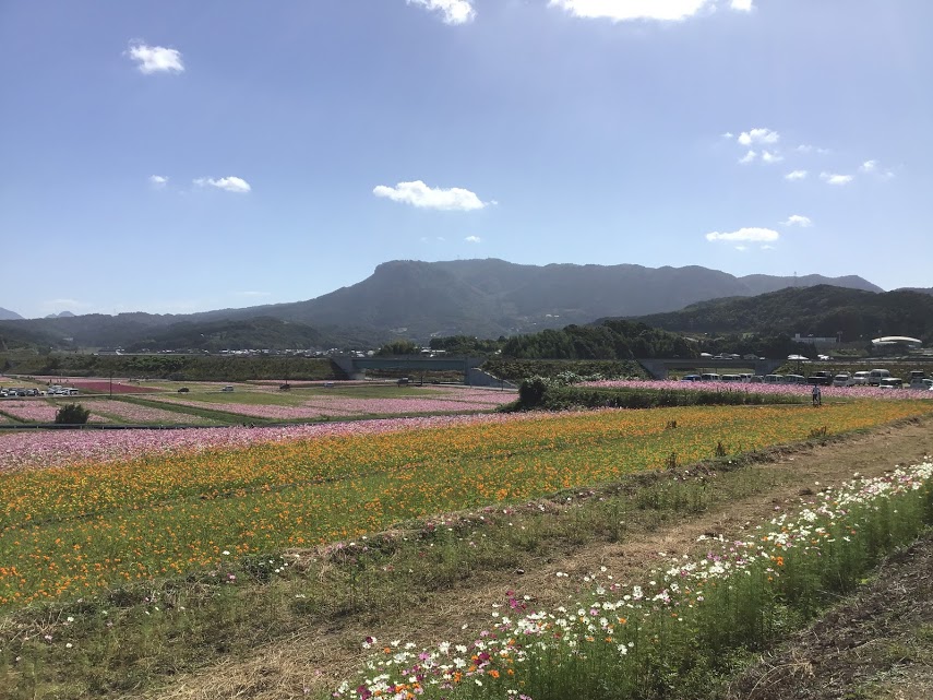 【削除されました🌈】今週末を振り返るスレッド ~令和元年10月2週目~ 【削除されました🌈】今週末を振り返るスレッド ~令和元年10月2週目~